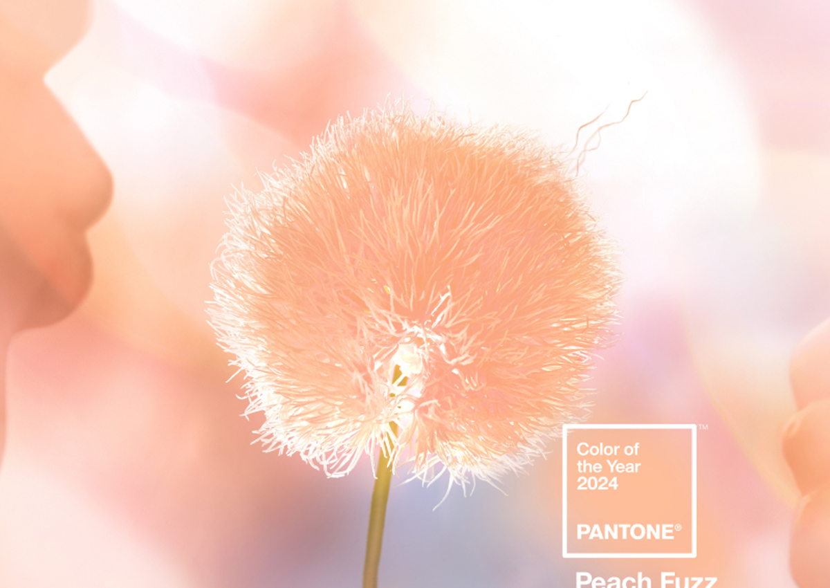 farba roka - pantone 2024